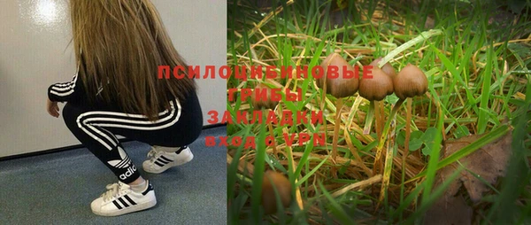 прущие крисы Алексеевка