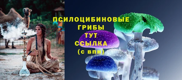 прущие крисы Алексеевка