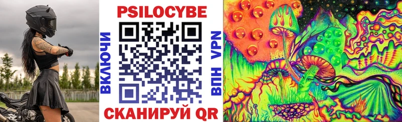 где можно купить   Ермолино  Псилоцибиновые грибы Psilocybe 